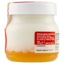 AlpiYò Yogurt di Valtellina Intero con marmellata di Arancia Amara 125 g